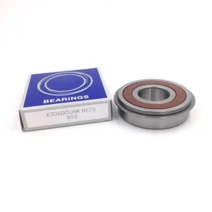 6306 Ddunr Deep Groove Bearing 30x72x19mm with Snap Ring