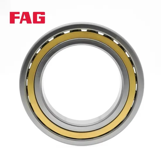 Double Row Angular Contact Ball Bearing 3205-Bd-XL-2hrs-Tvh FAG for Industrial Machinery