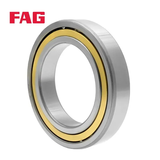 Double Row Angular Contact Ball Bearing 3305-B-2Z-TNH FAG for Industrial Machinery