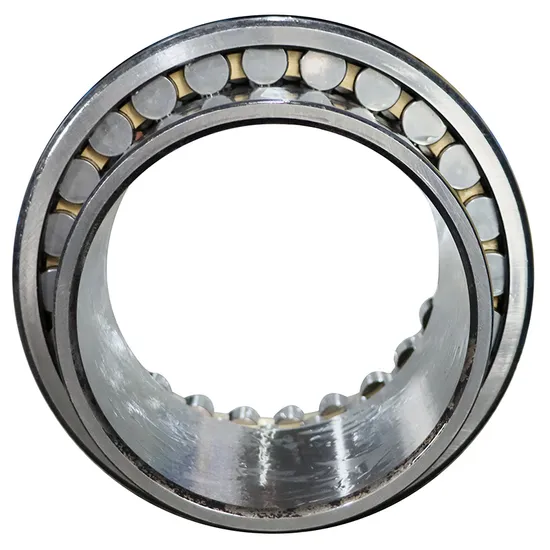 High Precision Double Row Cylindrical Roller Bearing NN3008 P4 for Industrial Machinery