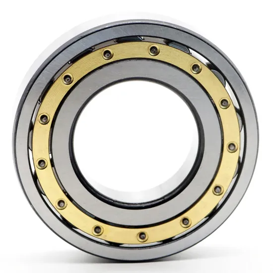 Double Row Cylindrical Roller Bearing NN3019K P4 Precision for Industrial Machinery