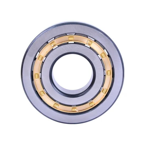 High Precision Double Row Cylindrical Roller Bearing NN3034K NN3036K NN3038K P4 W33 for Industrial Machinery