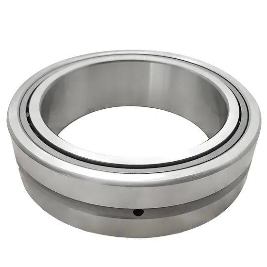 Needle Roller Bearing NK110/30 NK110/40 for Industrial Machinery with P0-P4 Precision