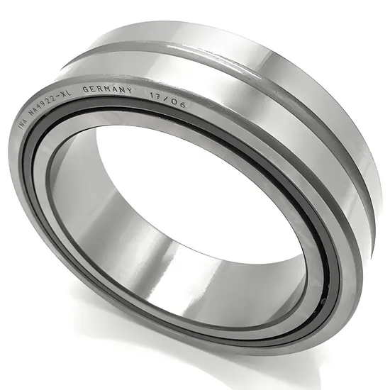 Needle Roller Bearing NK110/30 NK110/40 for Industrial Machinery with P0-P4 Precision