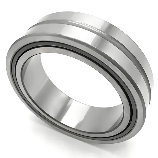 Needle Roller Bearing NK110/30 NK110/40 for Industrial Machinery with P0-P4 Precision