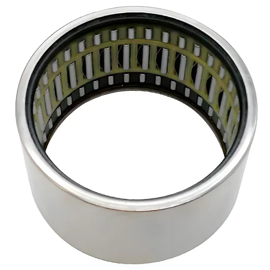 Needle Roller Bearing NK19/16 19x27x16mm P0-P4 Precision for Industrial Machinery