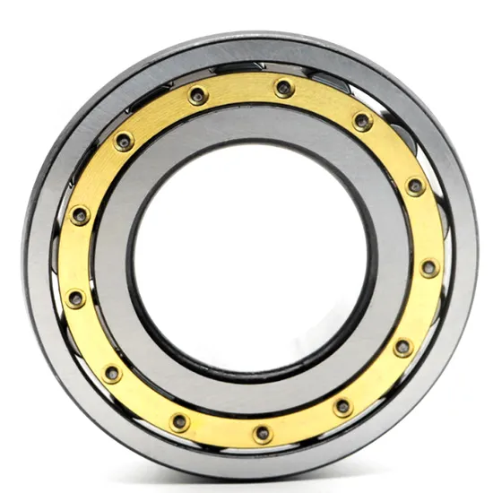High Precision NUP310EM Cylindrical Roller Bearing for Industrial Machinery 50x110x27mm