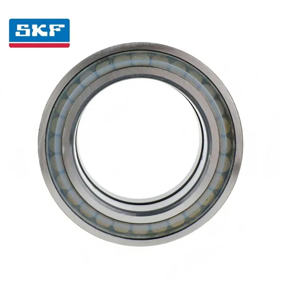 Double Row Cylindrical Roller Bearing NN3020 K TN9/SP for Industrial Machinery High Precision