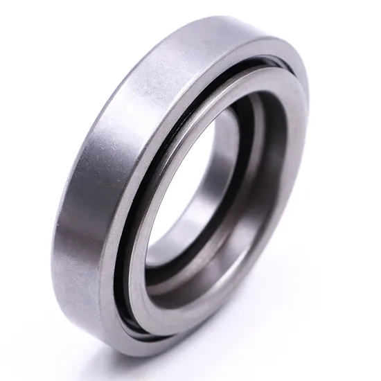 Deep Groove Ball Bearing 6036 2RS DDU for Packaging & Food Machinery Equipment