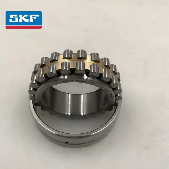 Double Row Cylindrical Roller Bearing Nu2311 Ec C3 for Heavy Machinery Construction Equipment
