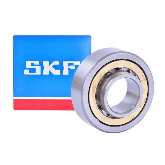 Single Row Cylindrical Roller Bearing Nu305e 25x52x15mm for Industrial Machinery