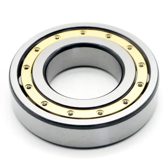 NSK Single Row Cylindrical Roller Bearing Nup307 25x52x15mm P0-P4 Precision for Industrial Machinery