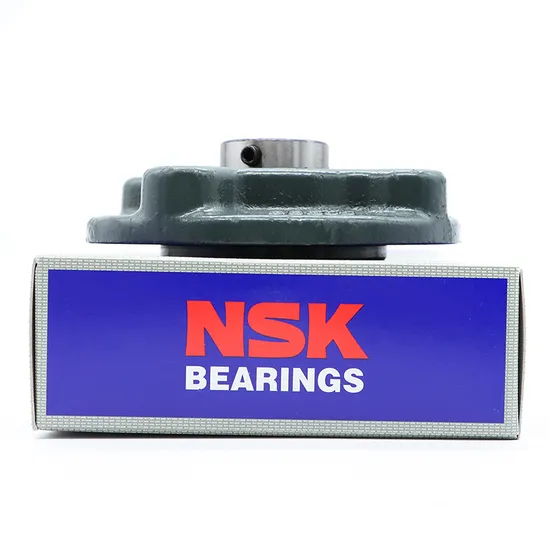 Ucfc205 Pillow Block Bearing High Load Insert Bearing 21x34.1x115mm P0-P4 Precision
