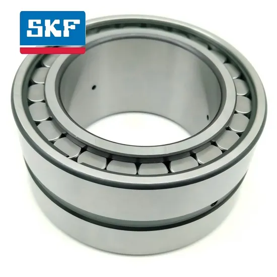 Double Row Cylindrical Roller Bearing Nu219-Ec P for Traditional Machine with C3 Clearance