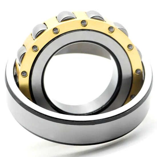 Cylindrical Roller Bearing NJ2222 NJ2224 NJ2226 EM for Mechanical Vibrating Screens