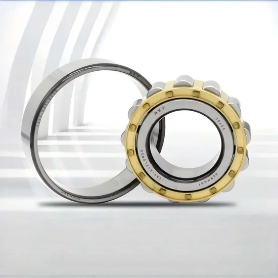 NN 3034/SPW33 Double Row Cylindrical Roller Bearing SKF for Industrial Machinery 170mm Bore