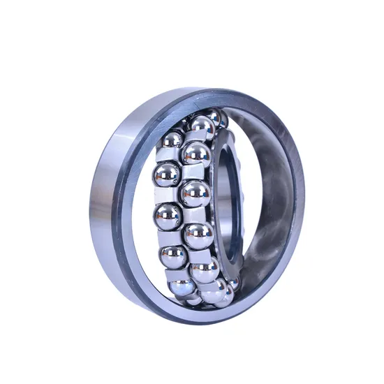 Self Aligning Ball Bearing 1203 1205-2RS Double Row Radial Bearing for Industrial Machinery